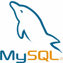 mysql-database-web-development-computer-software-dolphin